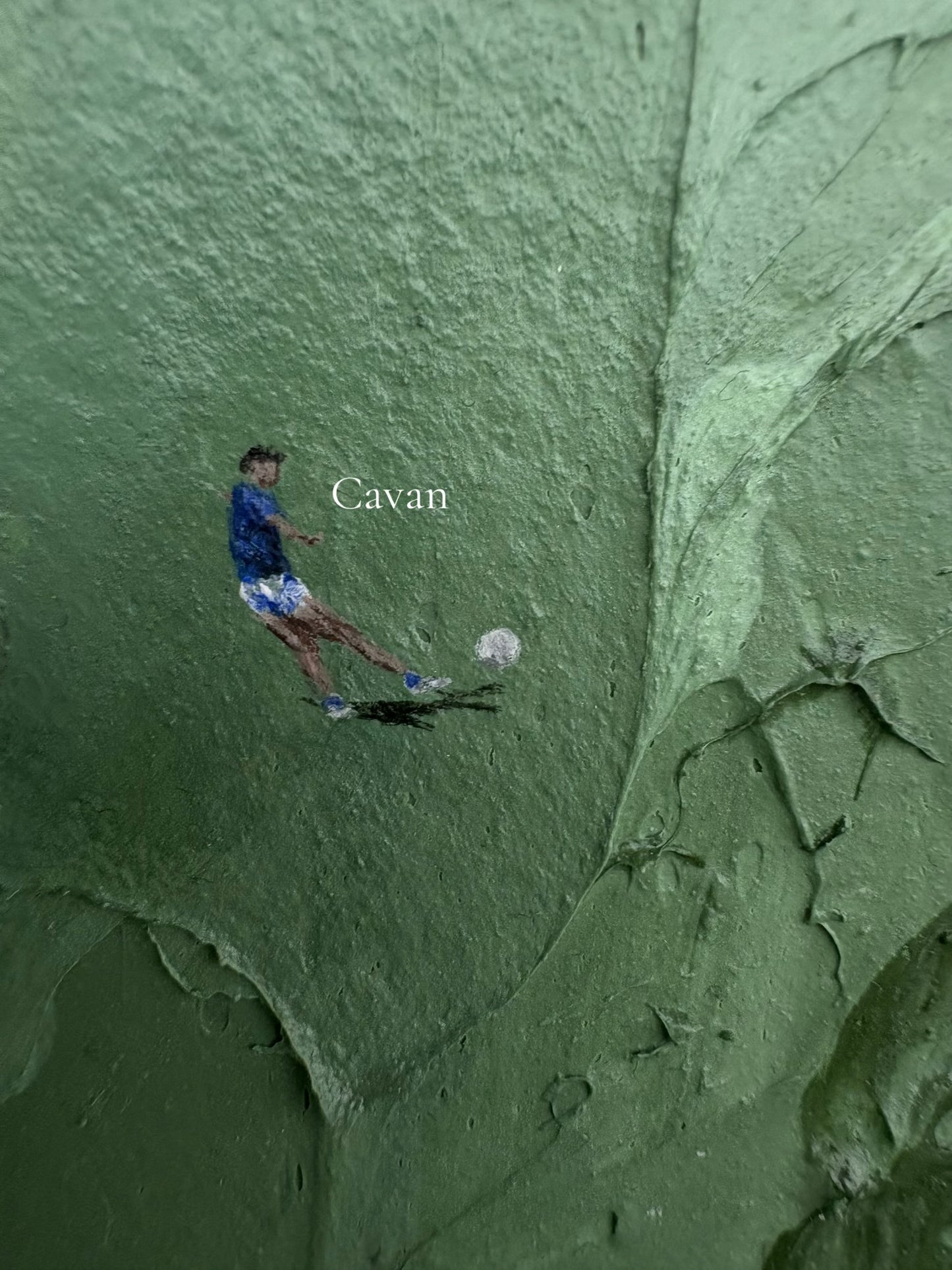 'Some Day For Your County' - Limited Edition